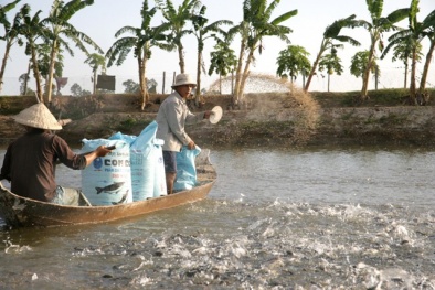 Đưa VietGAP vào nuôi trồng thủy sản